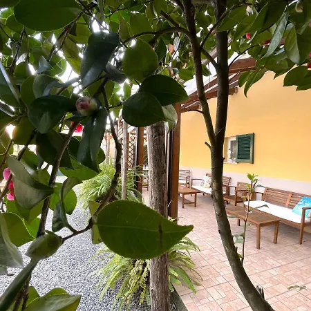 Creuza De Mae