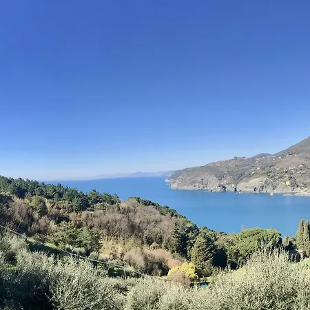 Creuza De Mae Levanto