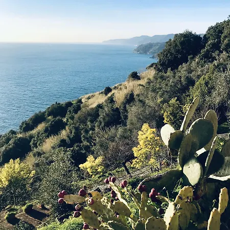 Pensjonat Creuza De Mae